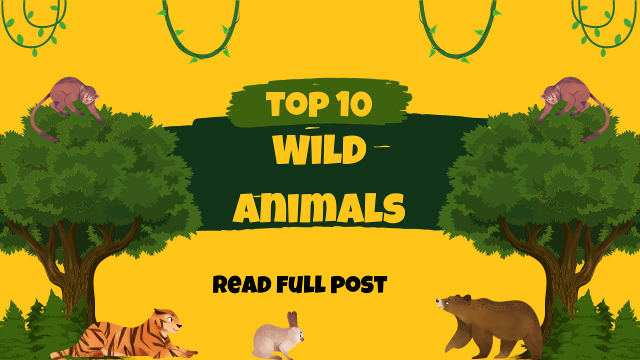 wild animals