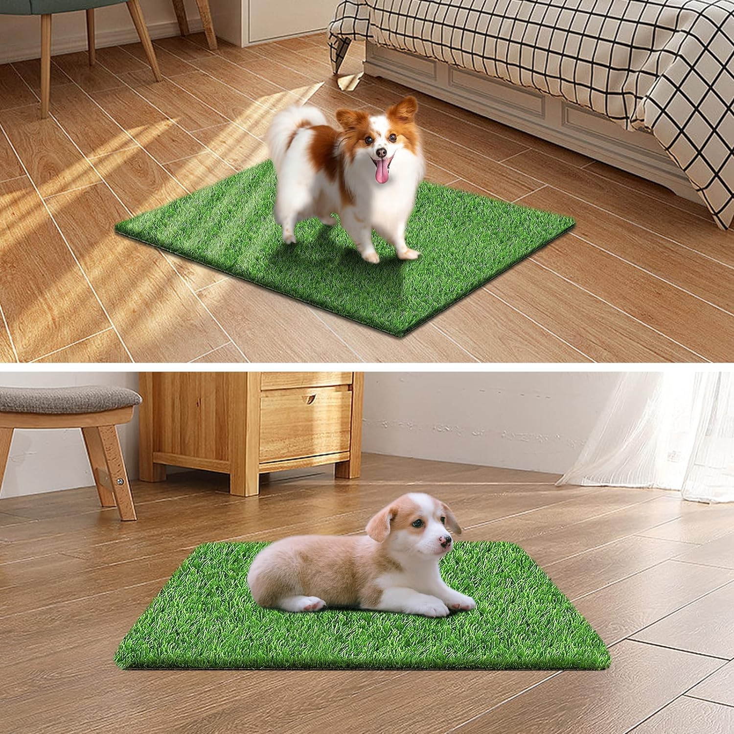 buy now artificial grass for dogs